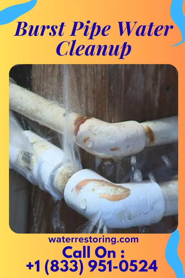 Burst Pipe Water Cleanup in Brookfield, NJ