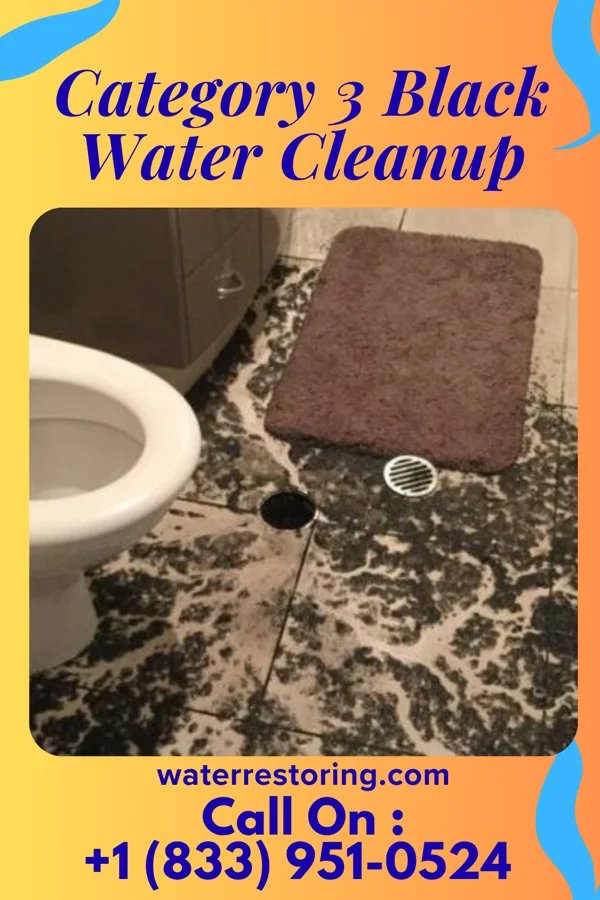 Category 3 Black Water Cleanup in Brookfield, NJ