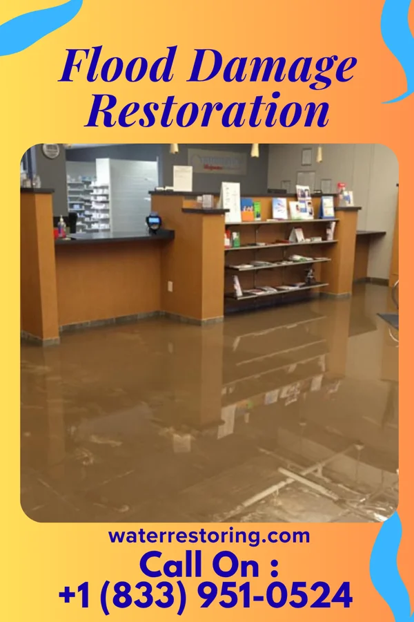 Flood Damage Restoration in Brookfield, NJ