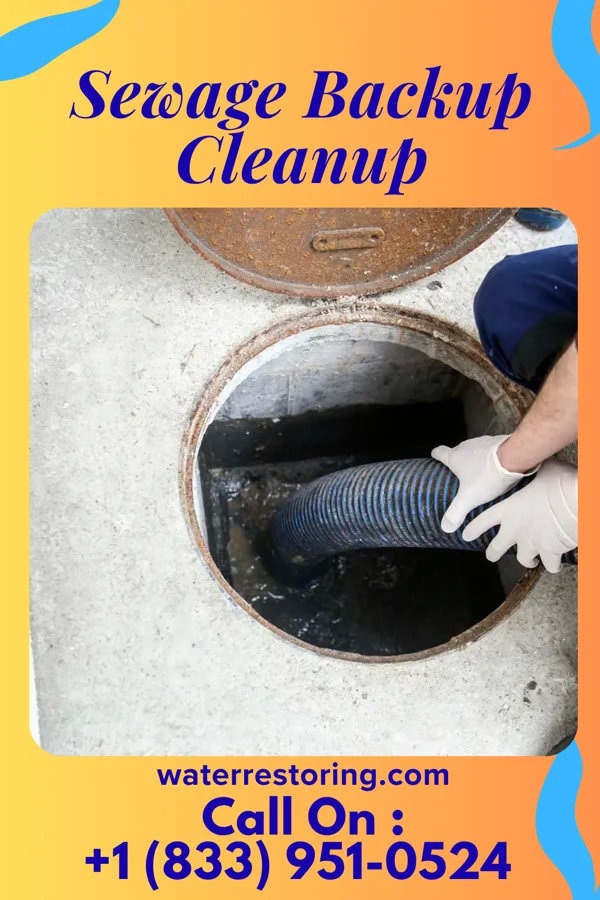 Sewage Backup Cleanup in Brookfield, NJ