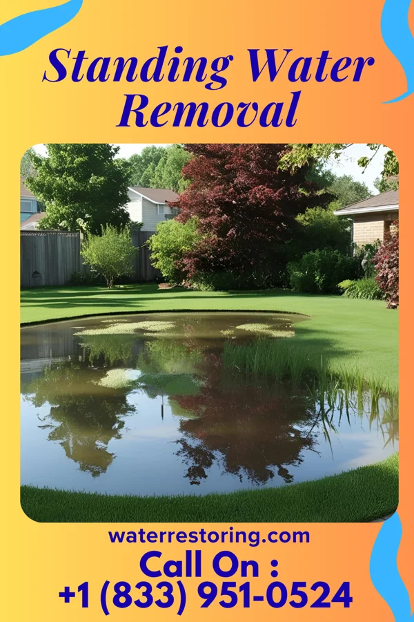 Standing Water Removal in Brookfield, NJ